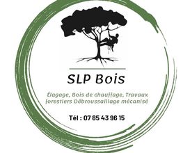 Slp bois image 5