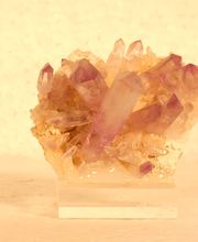 Roig Raymond image 9