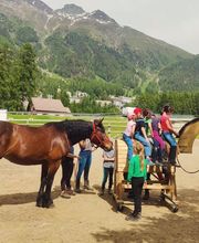 Wohlis Kutschbetrieb &  Ginas Reitschule Bild 13