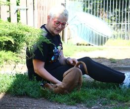 Boxerzwinger vom Wettiner Eck Bild 2