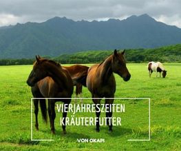 Mit dem Okapi Vierjahreszeitenfutter-Abo versorgen Sie Ihr Pferd das ganze Jahr über mit hochwertigem, saisonal abgestimmtem Futter. Für Gesundheit, Vitalität und eine artgerechte Ernährung.