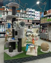 ZOOMALIA Saint-Maixent - Azay 79 | Animalerie image 6