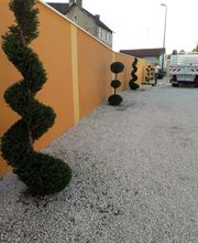 Lacroix David image 3