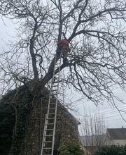 Krismann Espaces Verts image 2