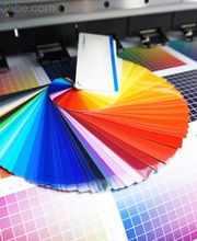 WolfMediaPress Bild 1