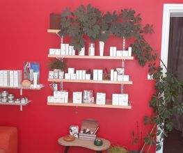 Le Salon image 5