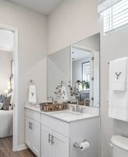 Yardly Monroe image 7