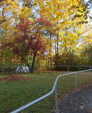 Fondation Mimosas Bild 2