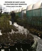 Pépinière de Saint Lavan image 3