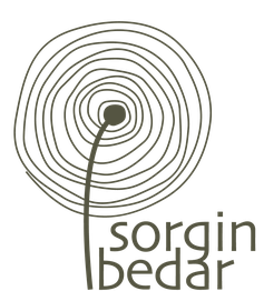 SorginBedar
