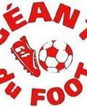 Le Géant Du Foot image 2