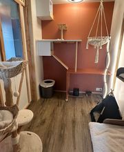 Le CHATel hôtel image 1