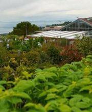 Burnier Garden Centre de Lavaux Bild 3