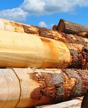 Scierie Carles image 2