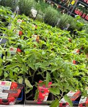 Bricomarché Chauny image 15