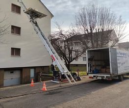 Riehen Transporte GmbH Bild 4