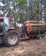 LE BOIS DES MARAIS image 5