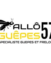 Allô Guêpes 57 image 6