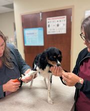 Parrett Veterinary Clinic image 15