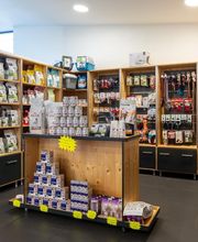 Clinique vétérinaire du Mas - Pamiers - Sevetys image 2