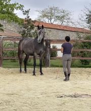 Ponte F SARL image 13