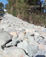 Vert & Taille image 4