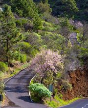 Autos Ferraz S.L. imagen 1