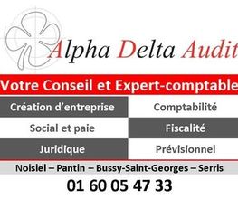 Alpha Delta Audit image 2