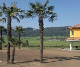 Schefer's Garten GmbH Bild 4