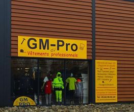 Gm Pro image 2
