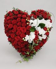 Gartencenter A-Z Velbert GmbH Bild 2