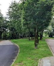 Aire de Le Moulin image 2