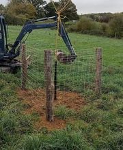 Vert & Taille image 9