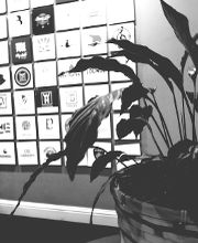 logo wall at mycali designs