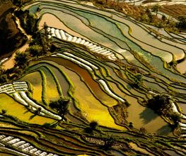 Asian Roads image 12