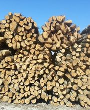 SARL Bois Express image 2