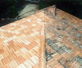 Artisan global habitat image 16