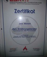 Ernaehrung wird bei der Hundeerziehung oft noch unterschaetzt.