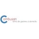 logo_combusan.jpg