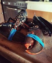 Bretagne Huîtres image 1