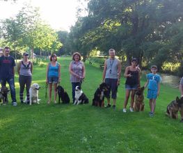 Amis Dogs 76 image 11