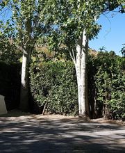 Camping Ruta del Purche imagen 2