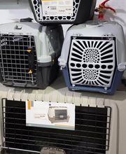 Mascotas gourmet imagen 14