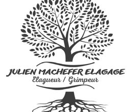 Julien Machefer Elagage EI image 11