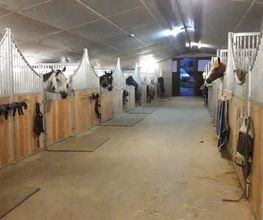 Ranch du p'tit bonheur Bild 6