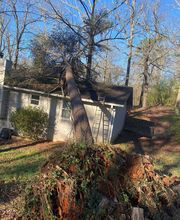 Life's Tree Doctor, LLC image 8