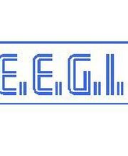 EEGI SARL image 2