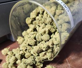 CbZen CBD image 5
