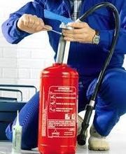 Adrien Alarme Binic image 5