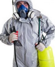 Köchy Schädlingsbekämpfung Bild 3